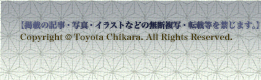  Lc fڂ̋LEʐ^ECXgȂǂ̖fʁE]ړւ܂BCopyright (C) Toyota Chikara. All Rights Reserved.