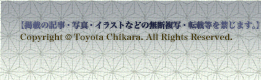  Lc fڂ̋LEʐ^ECXgȂǂ̖fʁE]ړւ܂BCopyright (C) Toyota Chikara. All Rights Reserved.